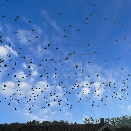 Hébergement de vacances Praestemarken Fano Denm *